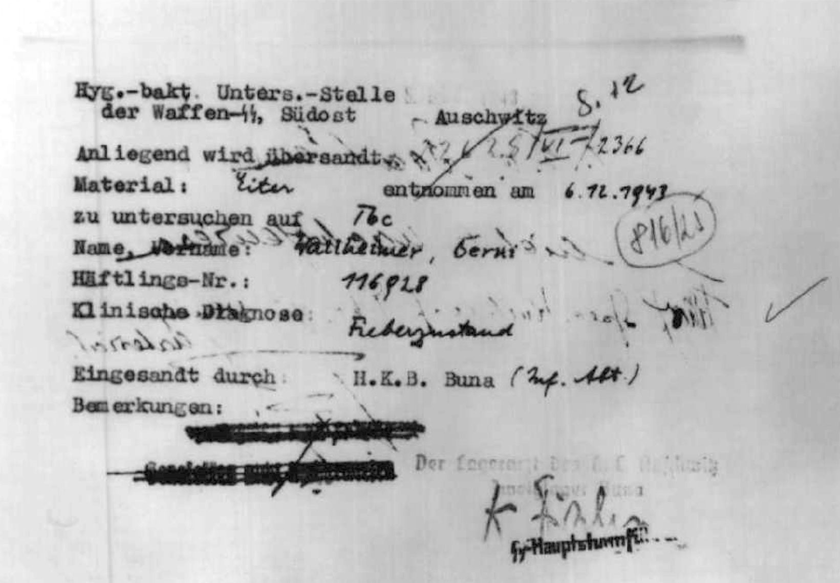 Das SS-Hygiene-Institut in Auschwitz untersuchte das Blut von Berni Wallheimer und stellte „keine Malaria“ fest