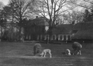 Gut Eschen: Bis zum September 1938 lebte Familie Wolff dort. Noch im Juli 1938 verpflegte die Familie dort 27 jüdische Kinder mit ihrer Lehrerin aus Berlin-Grunewald.