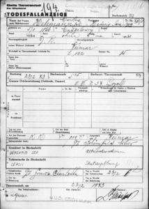 Todesfallanzeige für Hedwig Hetemann aus dem Konzentrationslager Theresienstadt. Ihr Todesdatum wurde mit dem 23.2.1943 eingetragen, als Ursache eine Sepsis angegeben. Zudem wurde ihr „Altersschwachsinn“ attestiert.