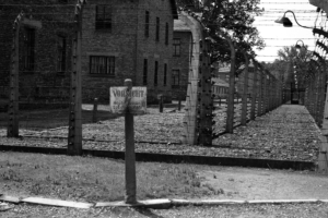 Auschwitz, 2012